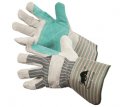 PGY-DPF-601