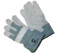 PAW-HSP-310