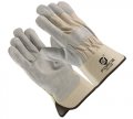 PAW-HSP-312